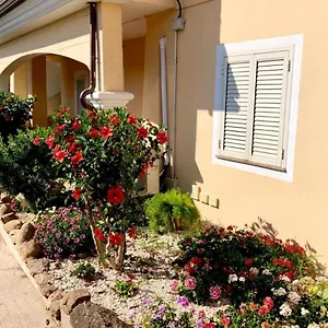 Casa Dolce Hibiscus , Olbia Italy